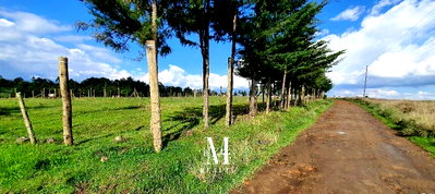 8-Acre Riverfront Farm with Borehole - Nyandarua