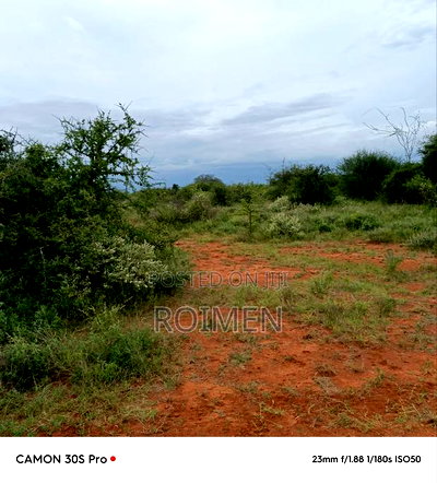 Ekali 5 Kilomita Mbili Kutoka Lami. - Image 4
