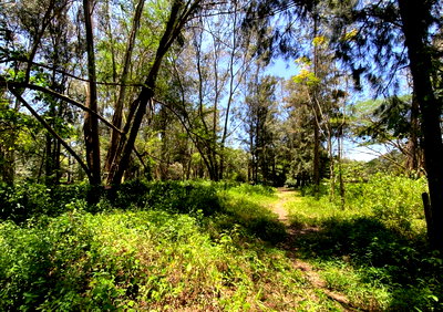 Half Acre Plot in Gated Estate