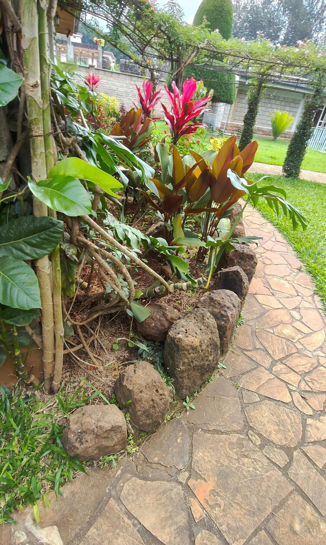 KSh 450K 4BR Haven with Garden