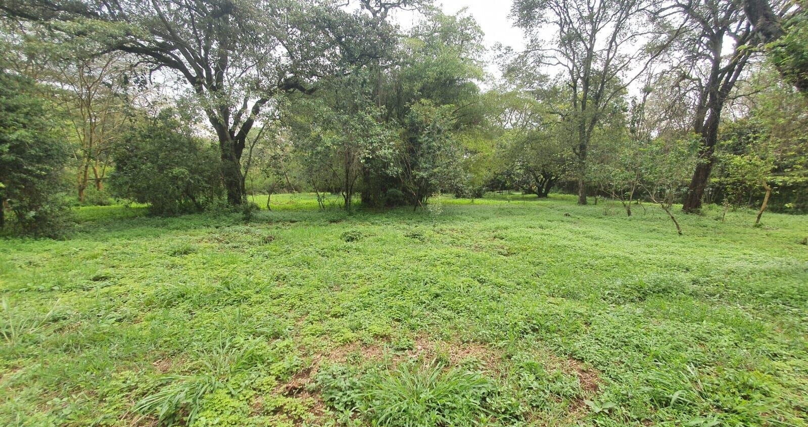 1.5-Acre Karen Plot at KSh 100M