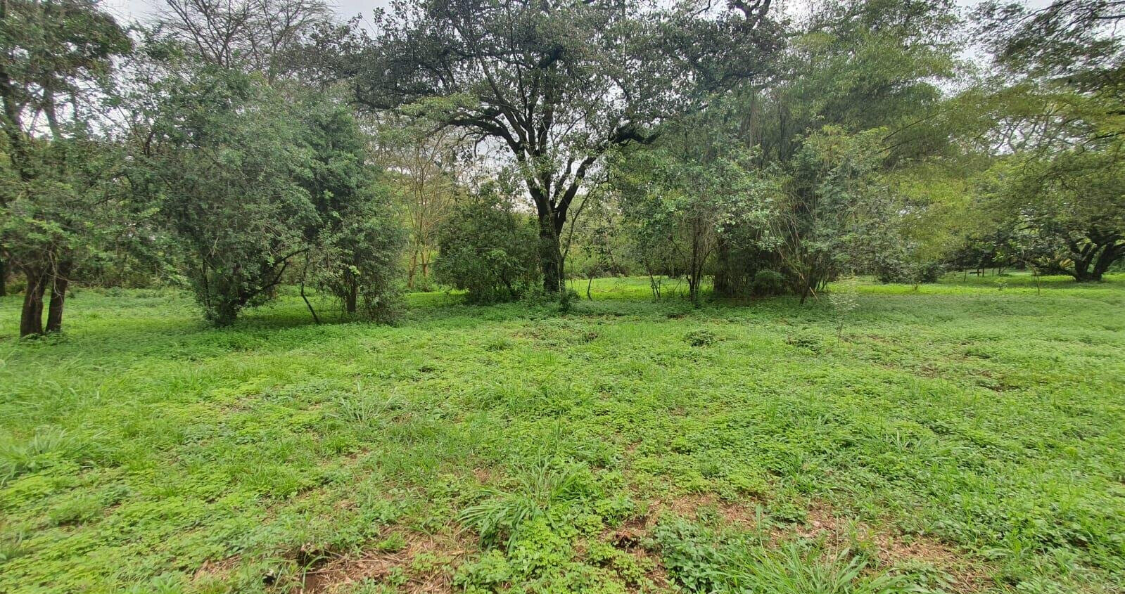 1.5-Acre Karen Plot at KSh 100M