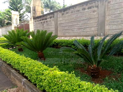 Furnished 5bdrm Mansion in Runda for sale - Image 13