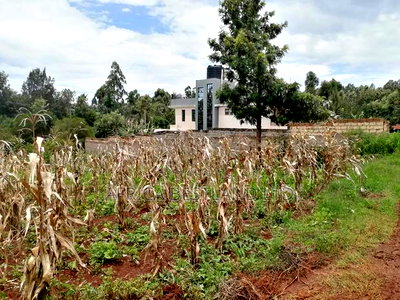 100x100 Residential Plot for Sale in Kikuyu Gikambura - Image 1