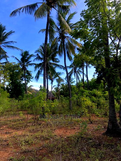 3 Acres of Land in Watamu - Image 3