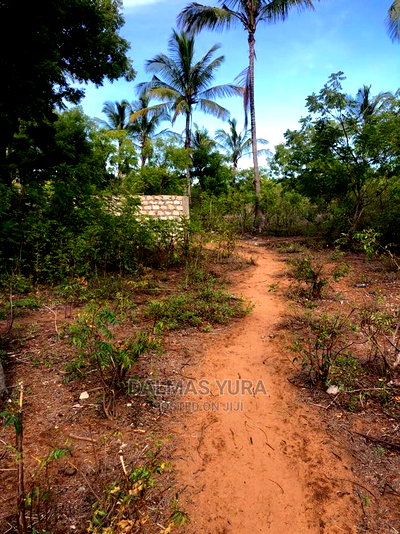 3 Acres of Land in Watamu - Image 1