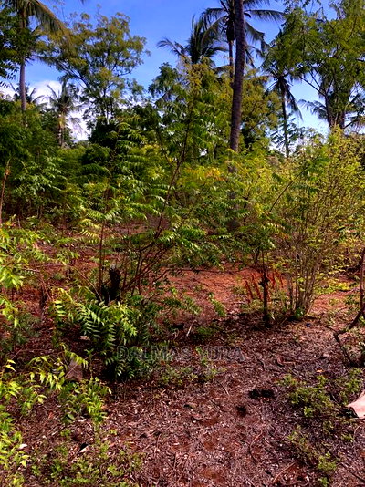 3 Acres of Land in Watamu - Image 5