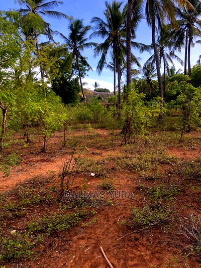 3 Acres of Land in Watamu - Image 2