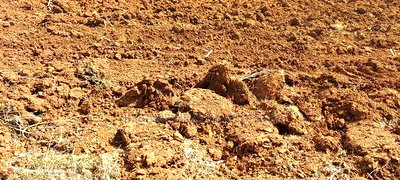 6 Acres in Lower Solai With Title Deed at Per Acre - Image 1