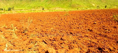 6 Acres in Lower Solai With Title Deed at Per Acre - Image 2