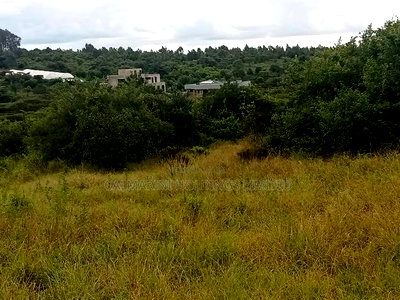 Prime 5 Acre Block for Sale in Merisho, Matasia - Image 3