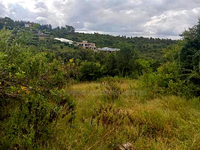 Prime 5 Acre Block for Sale in Merisho, Matasia - Image 4