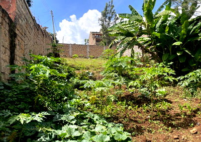 1/8 Acre in Thome for KSh 8M
