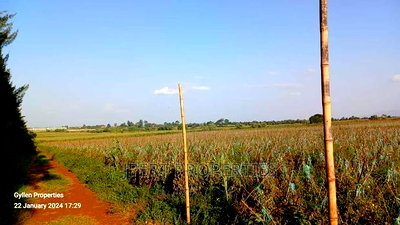 600 Acres for Sale - Image 3