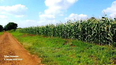 600 Acres for Sale - Image 4