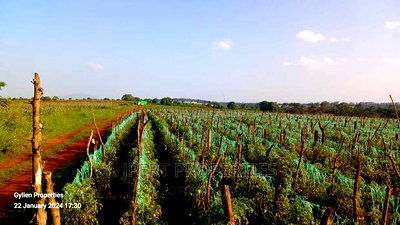 600 Acres for Sale - Image 1