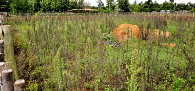 1/4 Plot for Sale in Kaptuli Chembulet Dispensary Eldoret - Image 2