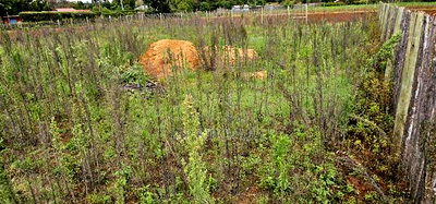 1/4 Plot for Sale in Kaptuli Chembulet Dispensary Eldoret - Image 3