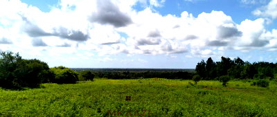 8.5-Acre Land in Malindi