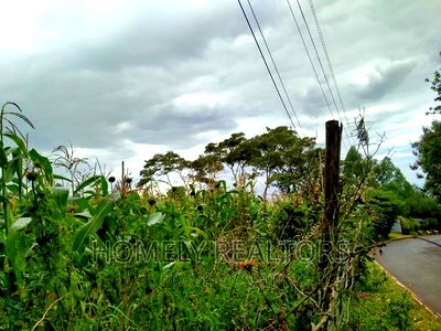 Half-Acre Plot in Ngong, Along Lemiso Rd Touching Tarmac - Image 8