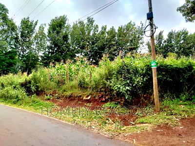Half-Acre Plot in Ngong, Along Lemiso Rd Touching Tarmac - Image 10