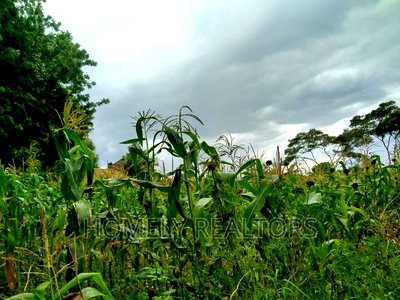 Half-Acre Plot in Ngong, Along Lemiso Rd Touching Tarmac - Image 9