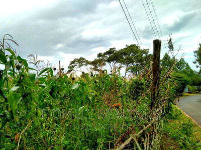 Half-Acre Plot in Ngong, Along Lemiso Rd Touching Tarmac - Image 7