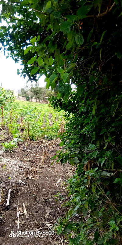 1and Half Acres for Sale in Kiserian - Image 5