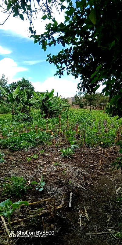 1and Half Acres for Sale in Kiserian - Image 4