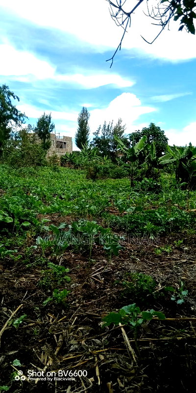 1and Half Acres for Sale in Kiserian - Image 6