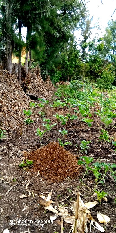 1and Half Acres for Sale in Kiserian - Image 7