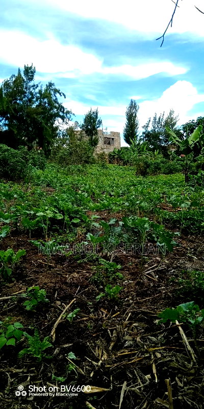 1and Half Acres for Sale in Kiserian - Image 3