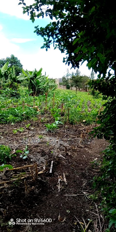 1and Half Acres for Sale in Kiserian - Image 9