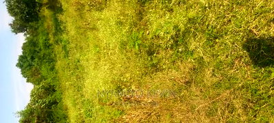 Osindo Beach - Image 3