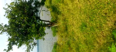 Osindo Beach - Image 1