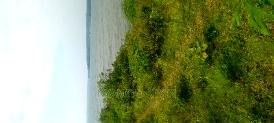 Osindo Beach - Image 2