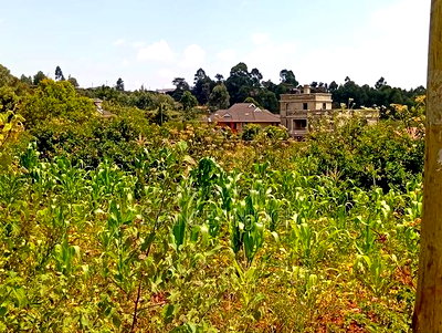 Prime Residential Plots for Sale in Kikuyu Kamangu - Image 7