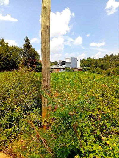Prime Residential Plots for Sale in Kikuyu Kamangu - Image 13