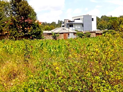 Prime Residential Plots for Sale in Kikuyu Kamangu - Image 6