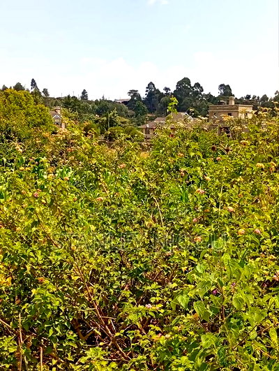 Prime Residential Plots for Sale in Kikuyu Kamangu - Image 16