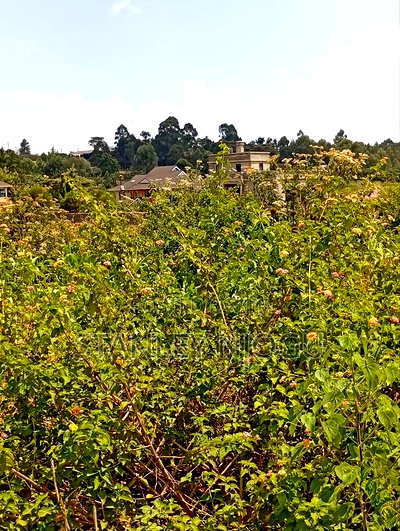 Prime Residential Plots for Sale in Kikuyu Kamangu - Image 18