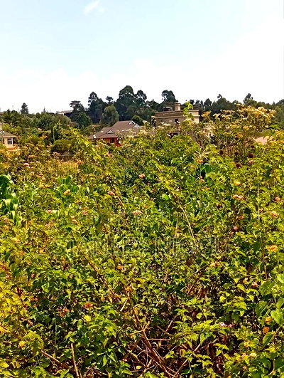 Prime Residential Plots for Sale in Kikuyu Kamangu - Image 17