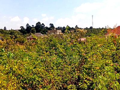 Prime Residential Plots for Sale in Kikuyu Kamangu - Image 9