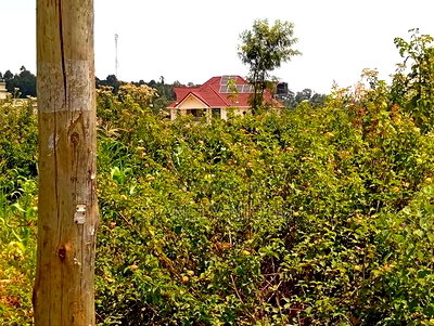 Prime Residential Plots for Sale in Kikuyu Kamangu - Image 5