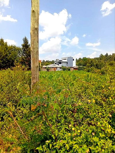 Prime Residential Plots for Sale in Kikuyu Kamangu - Image 10
