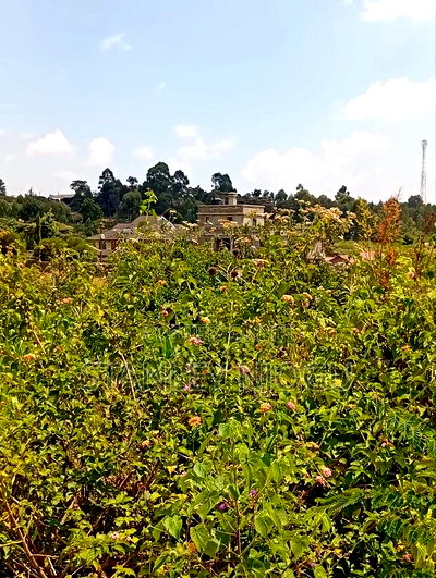 Prime Residential Plots for Sale in Kikuyu Kamangu - Image 15