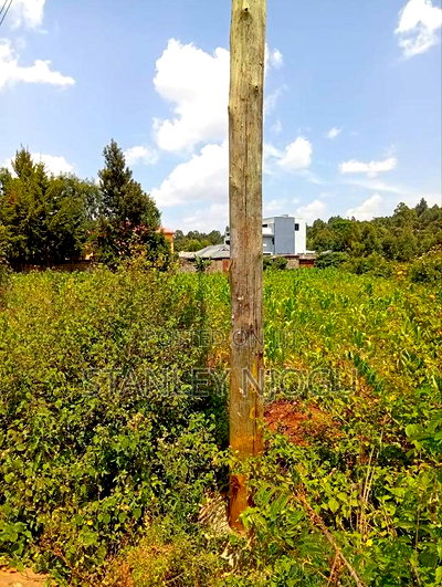 Prime Residential Plots for Sale in Kikuyu Kamangu - Image 14