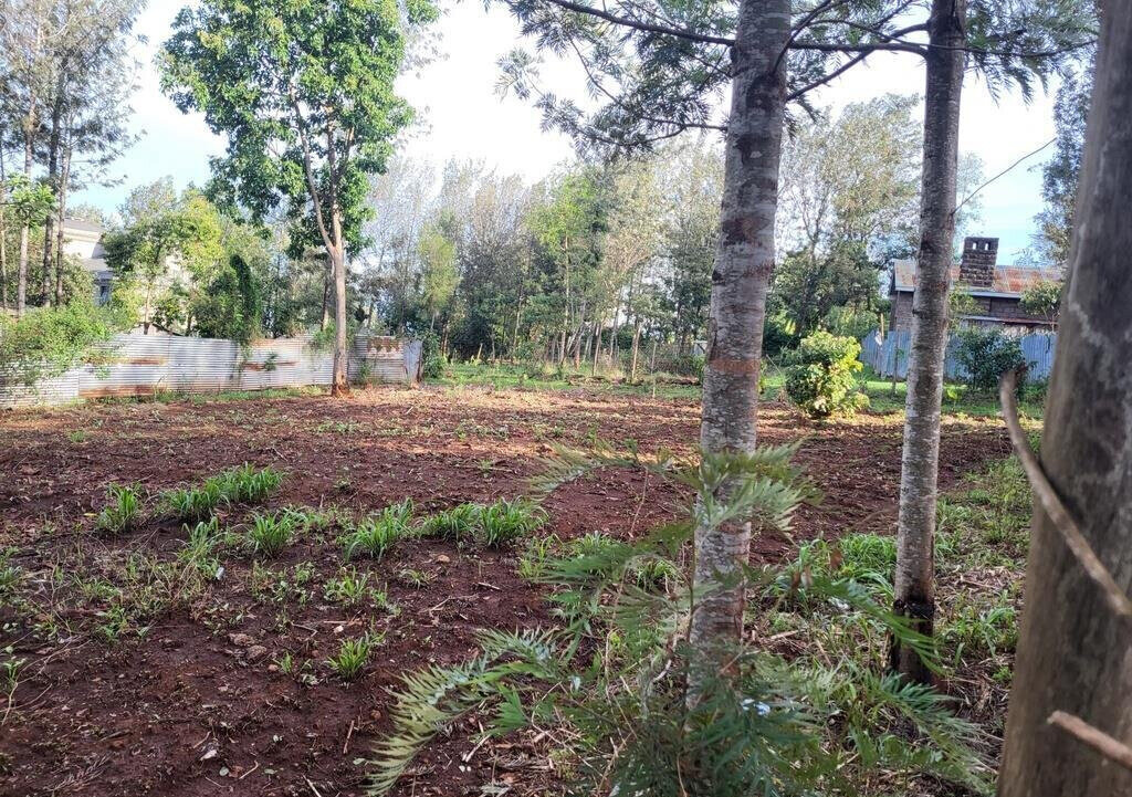 Quarter Acre Plot in Kerarapon