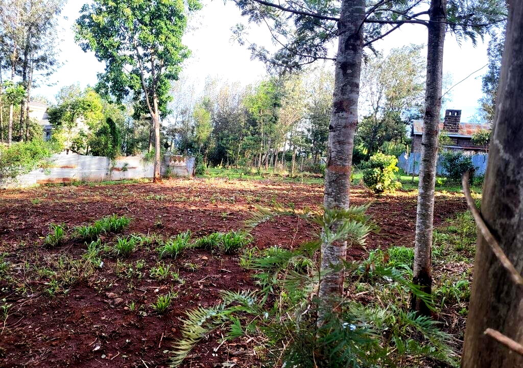 Quarter Acre Plot in Kerarapon