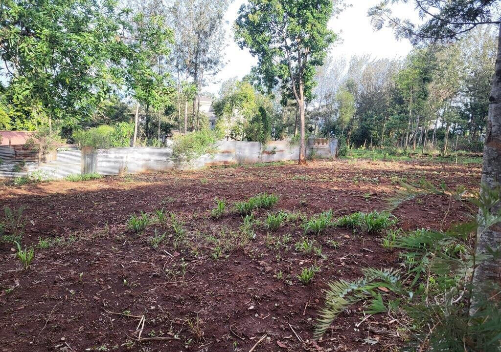 Quarter Acre Plot in Kerarapon